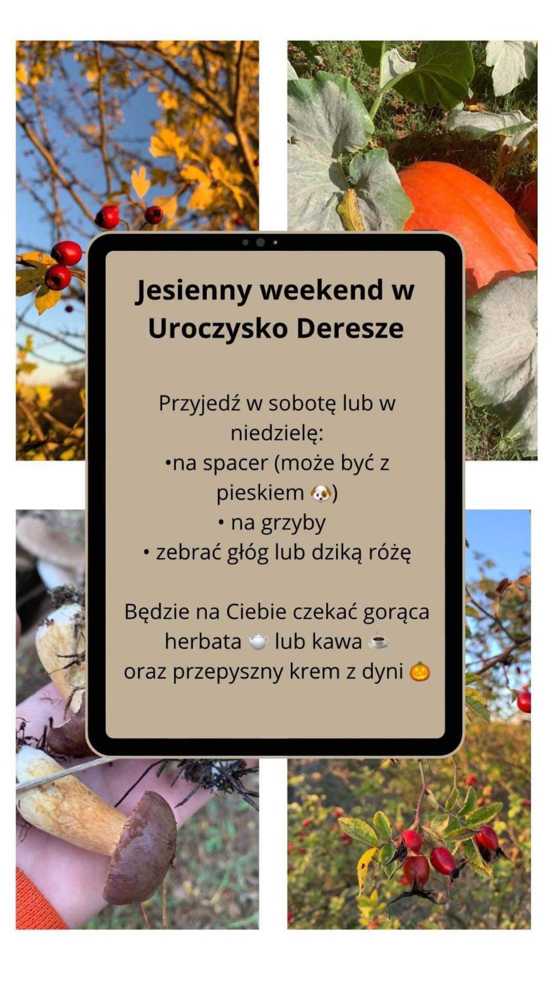 Uroczysko Deresze Villa Gilawy Esterno foto