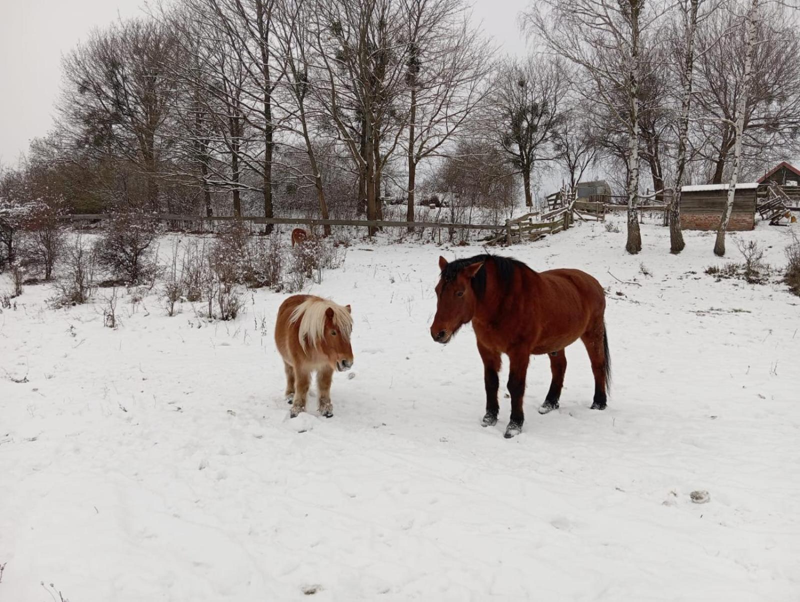 Uroczysko Deresze Villa Gilawy Esterno foto